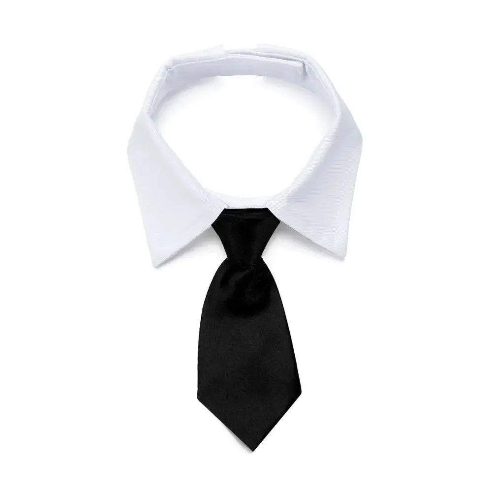 The Bow Tie Collar