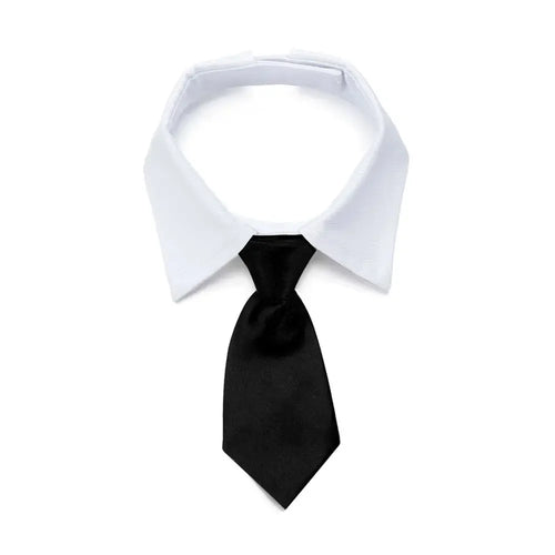 The Bow Tie Collar