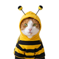 The BEE-utiful Honey Bee